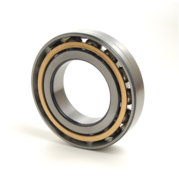 Bearings Limited7317 BMG  TTN